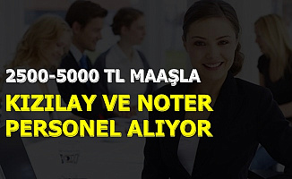 2500-5000 TL Maaşla Noter ve Kızılay'a KPSS'siz En Az Lise Mezunu Personel Alımı