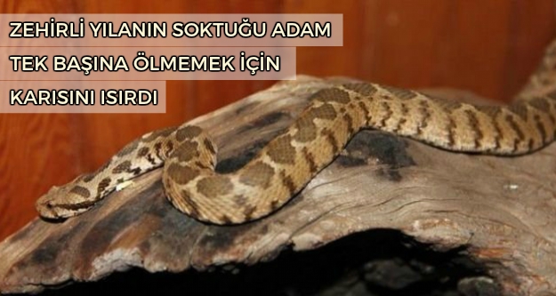 kamu bulteni