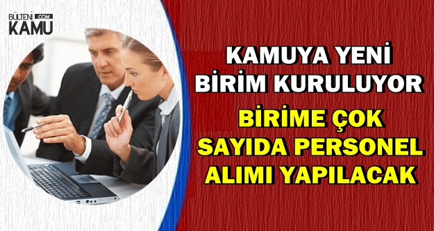 Kamuya Yeni Birim Kuruluyor: Memur Adaylarına İş Kapısı