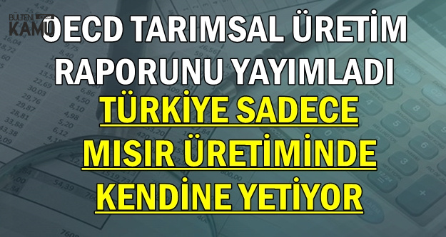 OECD Rapor Yayımladı: Türkiye Tarımda Sadece 1 Üründe Kendine Yetiyor