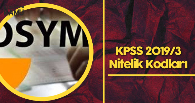 Kpss 2019 3 Teki 3301 4984 Ve 3318 Nitelik Kodu