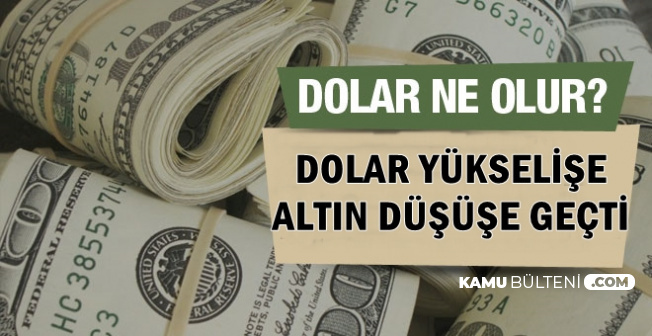 kritik dolar tahmini dolar kuru