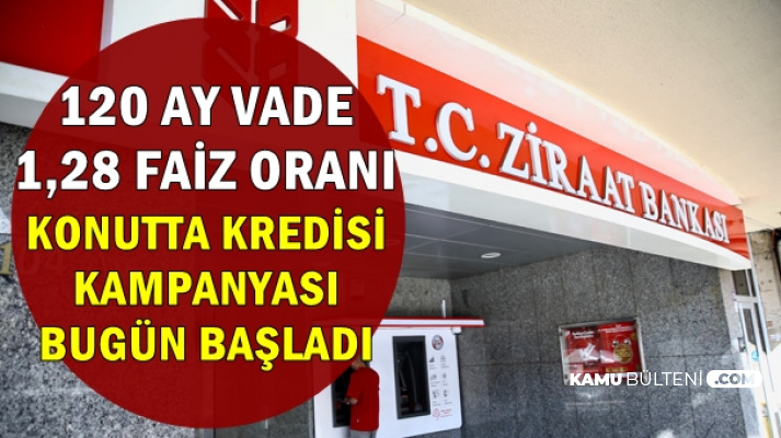 kamu bulteni