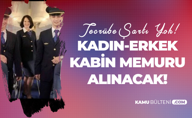 tecrubesiz kabin memuru alimi