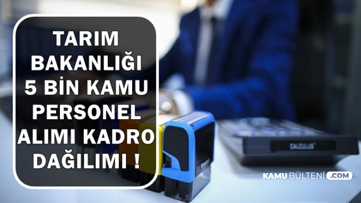kpss siz 60 kpss ile 101 kamu personeli