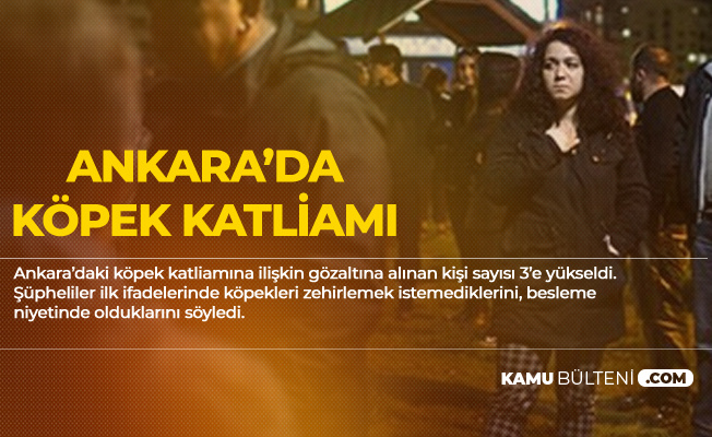 Ankara Batıkent'teki Köpek Katliamıyla İlgili Yeni Gelişme! Gözaltı Sayısı 3'e yükselti