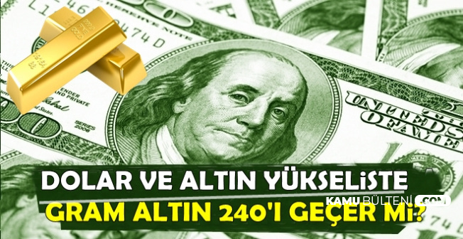 Dolar ve Altın Yükselişe Geçti (Altın Fiyatları Yükselecek mi?)