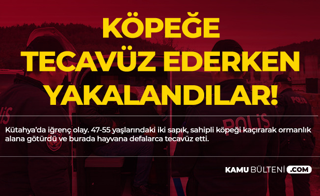 Kütahya'da İğrenç Olay! 47 ve 55 Yaşlarındaki 2 Sapık Köpeğe Tecavüz Ederken Yakalandı Kütahya'da İğrenç Olay! 47 ve 55 Yaşlarındaki 2 Sapık Köpeğe Tecavüz Ederken Yakalandı