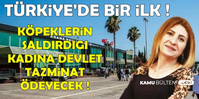Türkiye'de Bir İlk: Devlet Sokak Köpeklerinin Saldırdığı Kadına Tazminat Ödeyecek