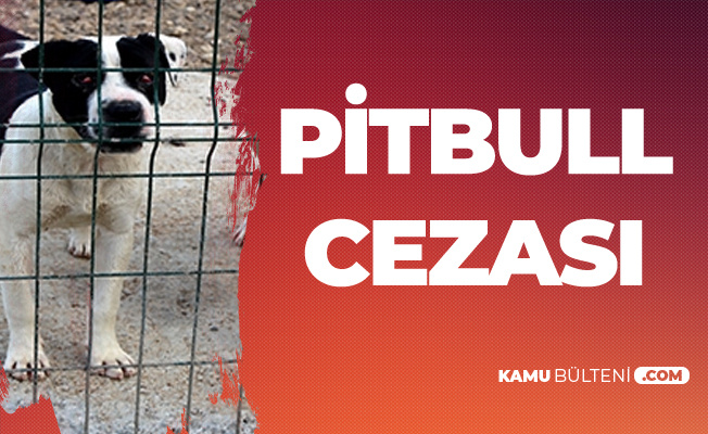 Pitbull Besleyen 2 Kişiye 7 Bin 802 TL Ceza