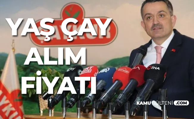 Tarım ve Orman Bakanı 2019 Yaş Çay Alım Fiyatını Açıkladı