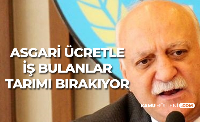 TZOB Başkanı: Asgari Ücretle İş Bulan Bırakıyor