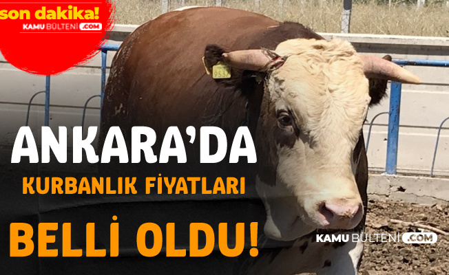 ankara da kurban fiyatlari belli oldu