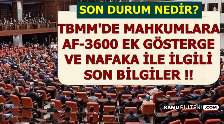 Mahkumlara Af Ek Gosterge Ve Nafakada Son Durum Iste Beklenen Tarihler