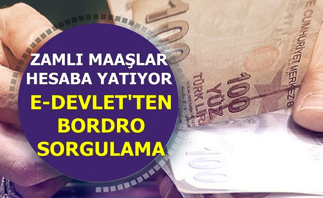 Memurların Zamlı Maaşları Hesaba Yatıyor-İşte E-Devlet'ten ...