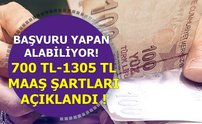 Basvuru Yapan Alabiliyor Iste 700 Tl Ve 1305 Tl Yardimin Basvuru Sartlari 2019