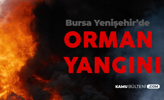 Bursa Yenişehir'de Orman Yangını! 5 Söndürme Helikopteri Müdahale Ediyor