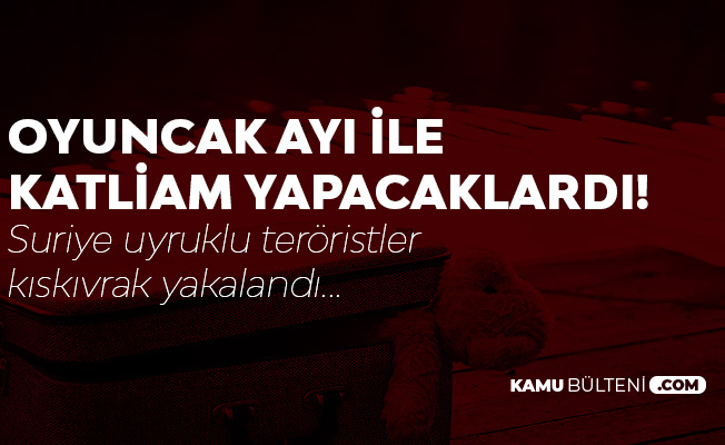 Oyuncak Ayı ile Katliama Hazırlanıyorlardı
