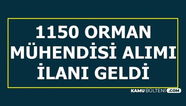 Tarım Bakanlığı 1150 Orman Mühendisi Alımı İlanı Yayımlandı