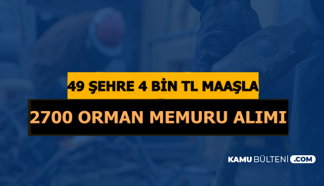 49 Şehre 4 Bin TL Maaşla Orman Memuru Alımı 2019