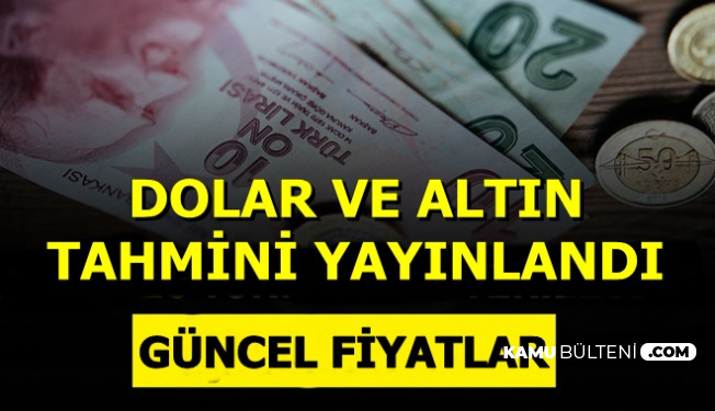 Dolar Ve Altin Tahmini Yayinlandi Iste Guncel Doviz Kuru Ve Altin Fiyatlari
