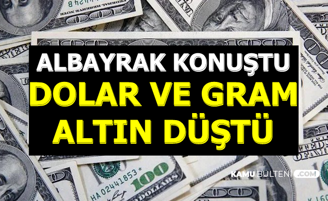 Flaş: Berat Albayrak Konuştu Dolar ve Gram Altın Fiyatı Düştü