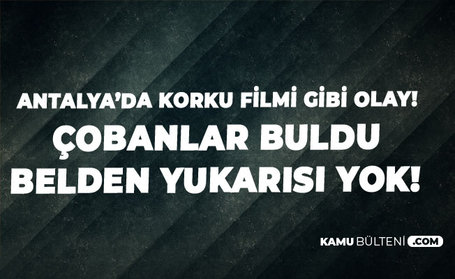 Son Dakika: Antalya'da Belden Yukarısı Olmayan Ceset Bulundu