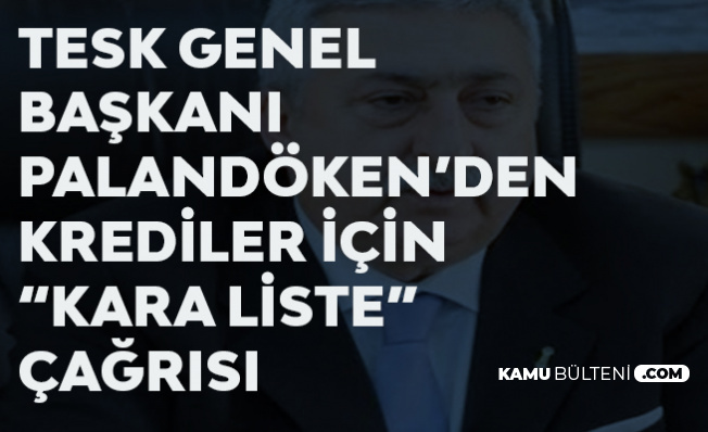 TESK Başkanı'ndan Kredi Faizleriyle İlgili 'Kara Liste' Hatırlatmalı Yeni Açıklama: Esnaf da Yararlanmalı