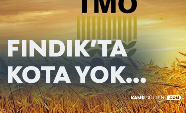 TMO'dan Kota Açıklaması Geldi! 'Fındık Alımında Kota Uygulanmıyor'