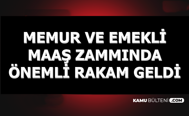 kamu bulteni