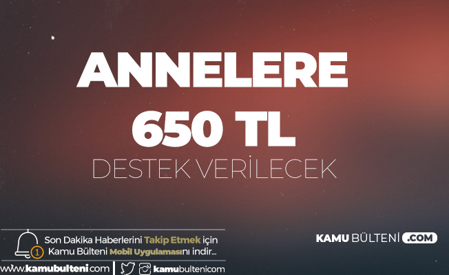 Ankara Antalya Bursa Elazig Istanbul Izmir Ve Malatya Daki Annelere 650 Tl Aylik Devlet Destegi