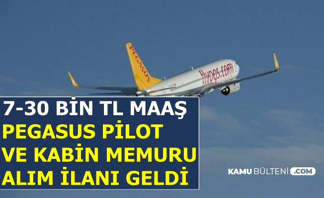 Pegasus A Tecrubeli Tecrubesiz Kabin Memuru Ve Pilot Alimi 7 30 Bin Tl Maasla