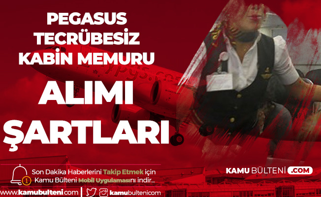 kamu bulteni