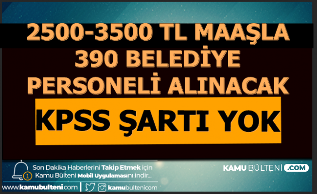 17 sehirde yasayanlar 2500 3500 tl maasla 390 belediye personeli alimi 2020