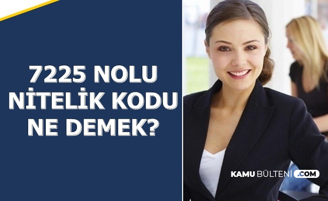 7225 Nitelik Kodu Nedir