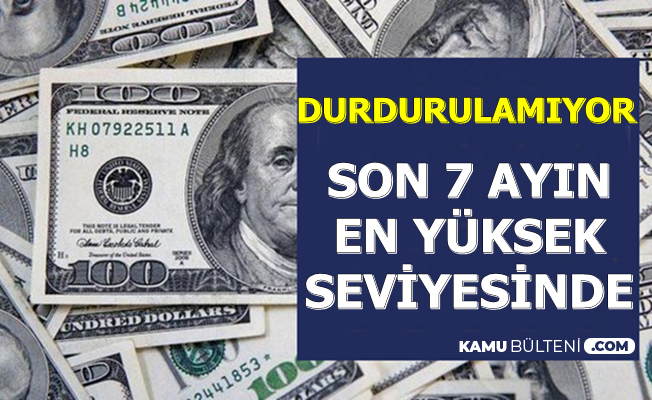 Flas Dolar Son 7 Ayin En Yuksek Seviyesinde Guncel Doviz Kuru Ve Altin Fiyatlari