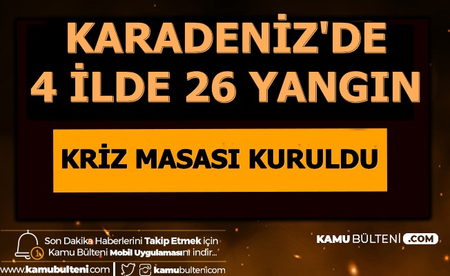 Son Dakika Trabzon Giresun Artvin Ve Ordu Da 26 Yangin Cikti