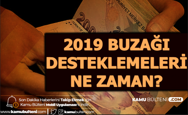 2019 Buzağı Desteklemeleri Ne Zaman Verilecek , Ödemeler Ne Zaman Hesaba Yatacak?