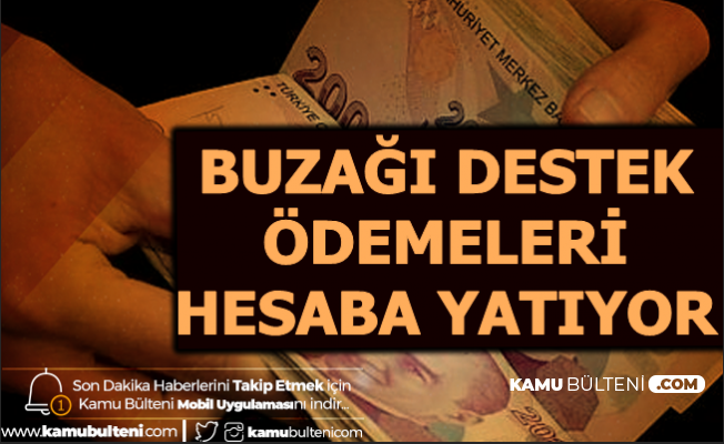 Buzagi Destekleri Ne Zaman Yatacak Iste Destekleme Odeme Tarihi