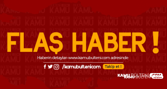 sehirlerarasi otobus yolculugunda yeni donem evcil hayvanlar da yolculuk yapacak
