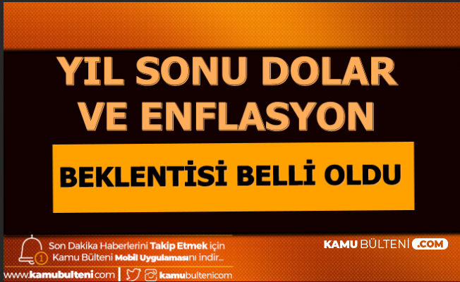 2020 yil sonu dolar kuru ve enflasyon