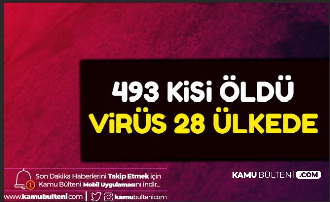 Corona Virüsü 28 Ülkede: 493 Kişi Öldü