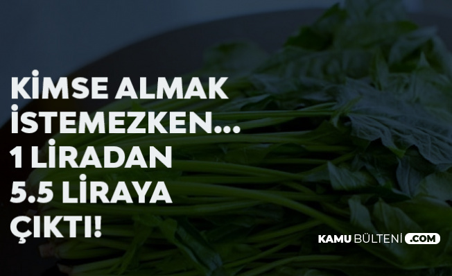 Kimse Almak İstemiyordu! Bir Anda %400 Zamlandı