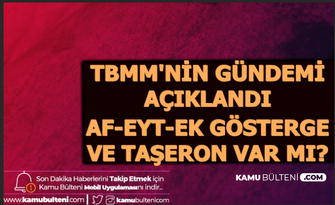 Meclisin Gündemi Açıklandı: Mahkumlara Af-EYT-Ek Gösterge ve Taşeron var mı?