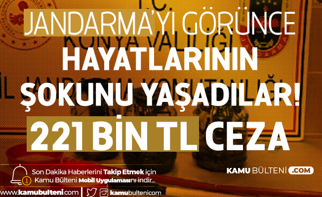 Ava Giderken Hayatlarının Şokunu Yaşadılar! 221 Bin TL Ceza Ava Giderken Hayatlarının Şokunu Yaşadılar! 221 Bin TL Ceza