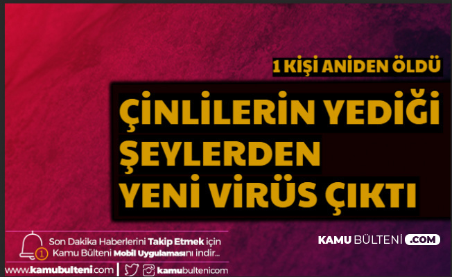 Çin'de Yeni Virüs Ortaya Çıktı: Hanta Virüsü 1 Ölü (Hanta Nedir , Hangi Hayvanlardan Bulaşır?)