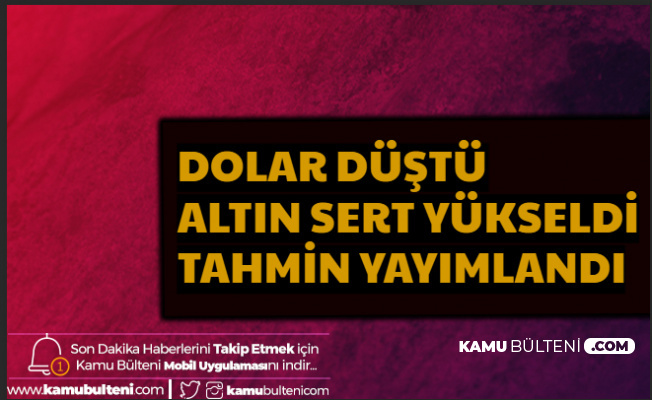Dolar Düştü Altın Sert Yükseldi (Altın Neden Yükseliyor?)