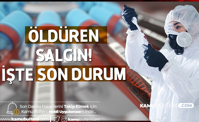 Öldüren Salgın ! Koronavirüs'te Son Durum :Ölü ve Vaka Sayısı Artıyor Öldüren Salgın ! Koronavirüs'te Son Durum :Ölü ve Vaka Sayısı Artıyor