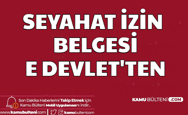 Seyahat İzin Belgesi Başvurusu E Devlet'ten Başladı