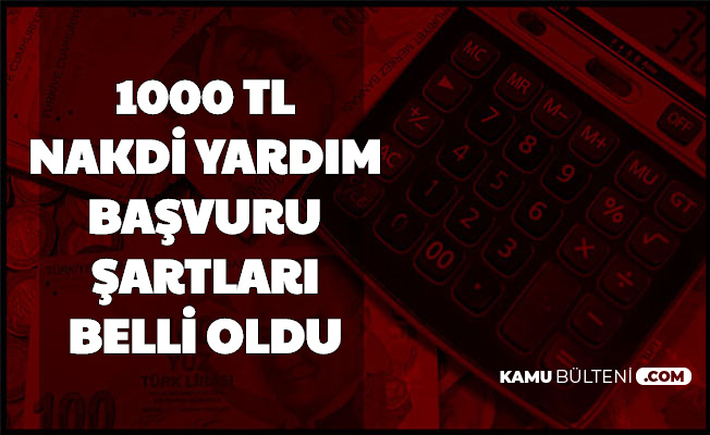 1000 tl pandemi destek basvuru sartlari
